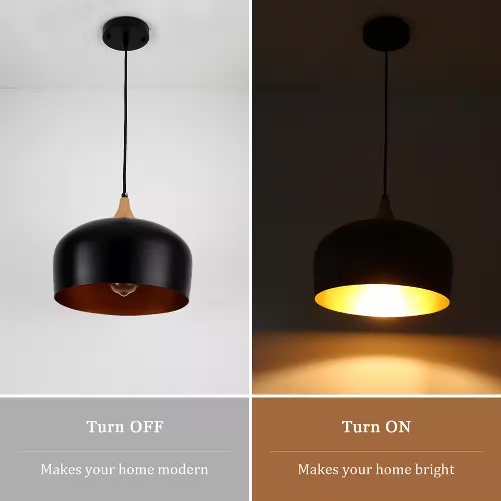 1-Light Black Metal Dome Pendant Light with Solid Wood Accents, No Bulbs Included