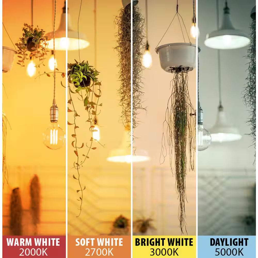 100-Watt Equivalent ST19 Dimmable Straight Filament Amber Glass Vintage Edison E26 LED Light Bulb, Warm White (4-Pack)