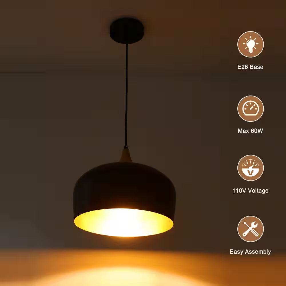 1-Light Black Metal Dome Pendant Light with Solid Wood Accents, No Bulbs Included