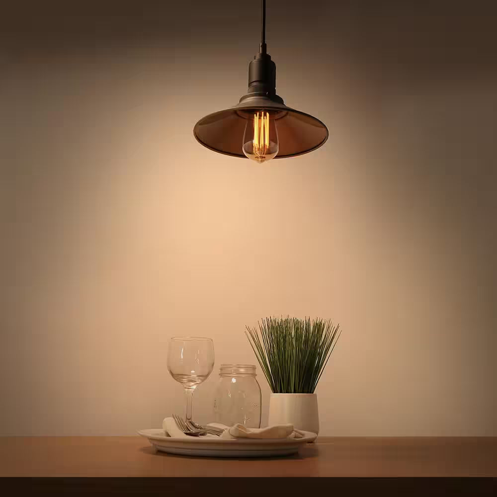 100-Watt Equivalent ST19 Dimmable Straight Filament Amber Glass Vintage Edison E26 LED Light Bulb, Warm White (4-Pack)